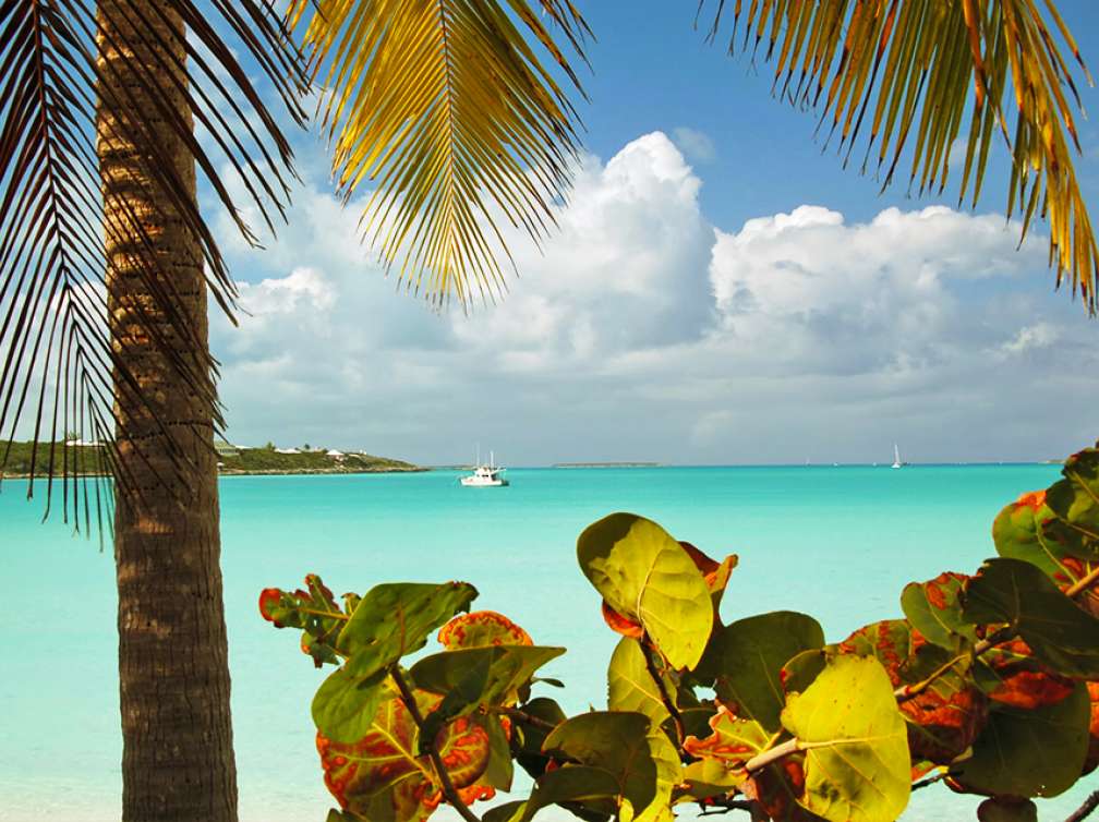 December Cruises 2021 - 2022: Christmas & New Year's | Costa Cruises